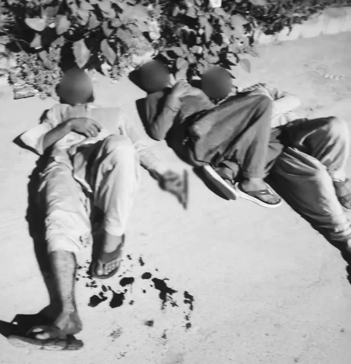 FB_IMG_1774520004204