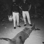 FB_IMG_1776921440958