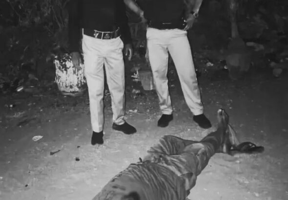 FB_IMG_1776921440958